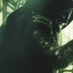 images (6)